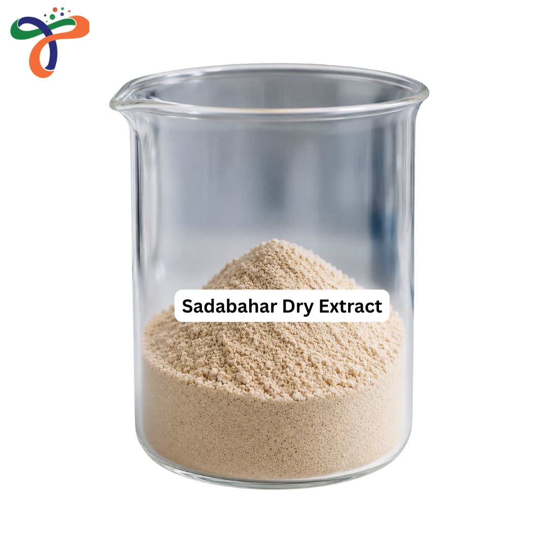 Sadabahar Dry Extract